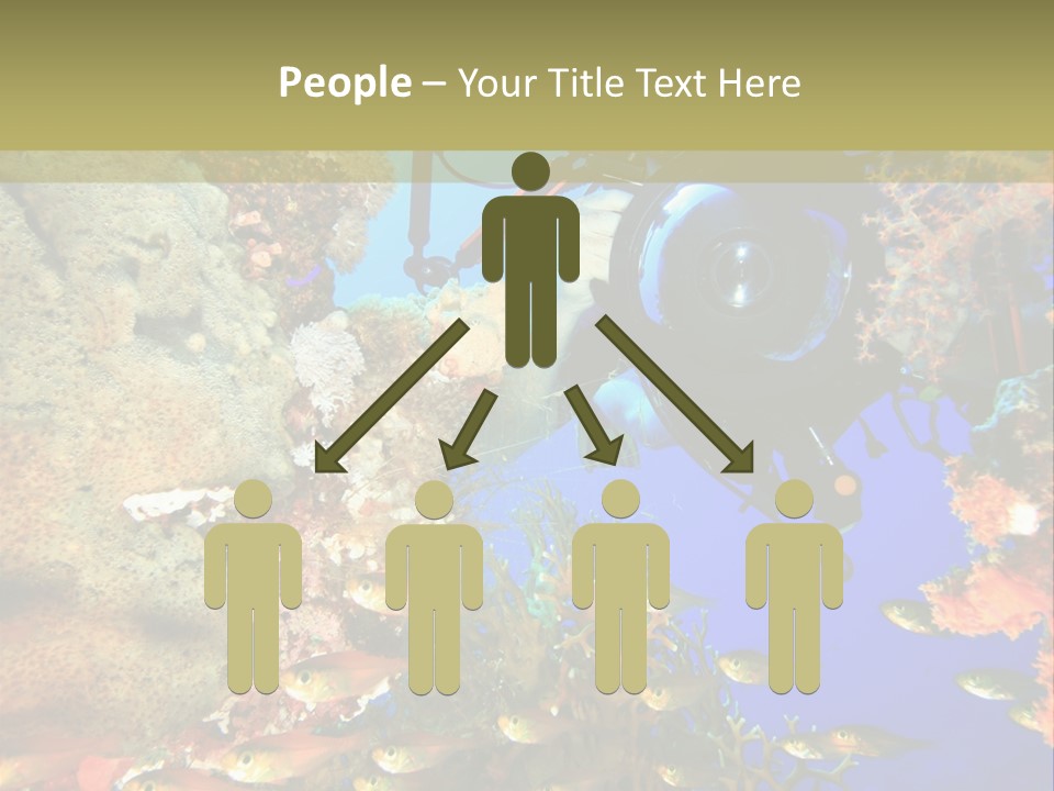 Underwater Dslr Sinai PowerPoint Template