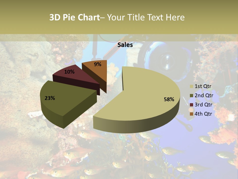 Underwater Dslr Sinai PowerPoint Template