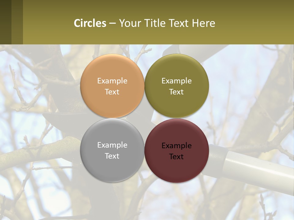 Wood Lopping Shear PowerPoint Template