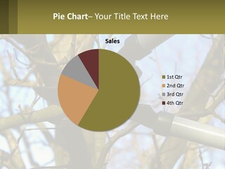 Wood Lopping Shear PowerPoint Template