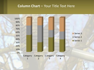 Wood Lopping Shear PowerPoint Template