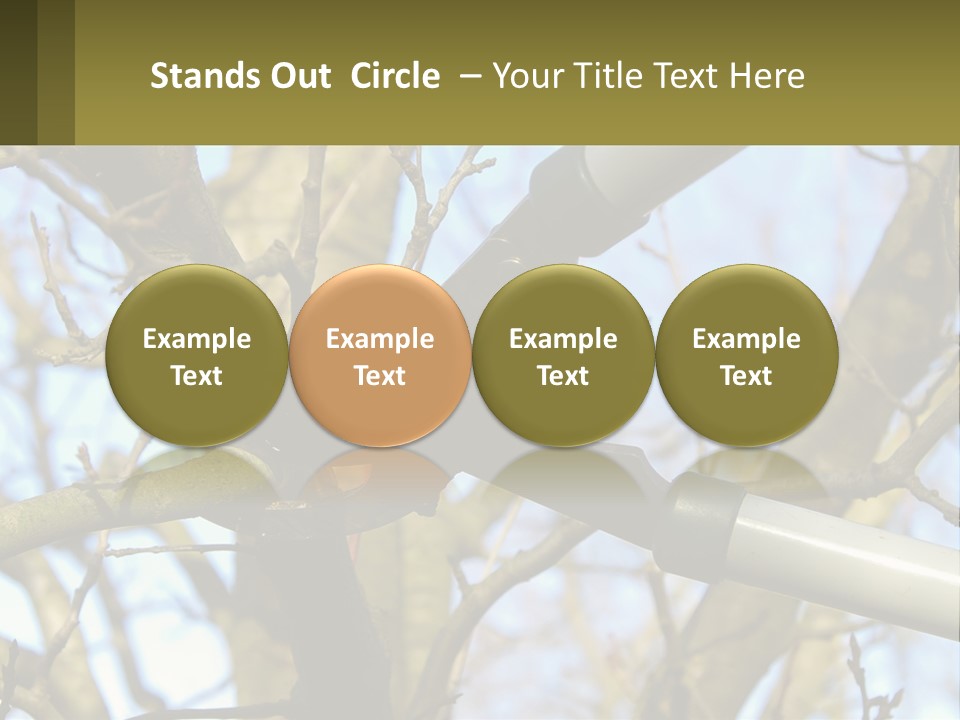Wood Lopping Shear PowerPoint Template