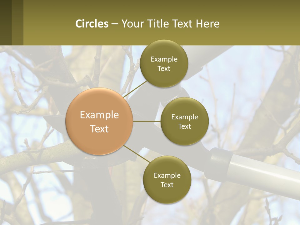 Wood Lopping Shear PowerPoint Template