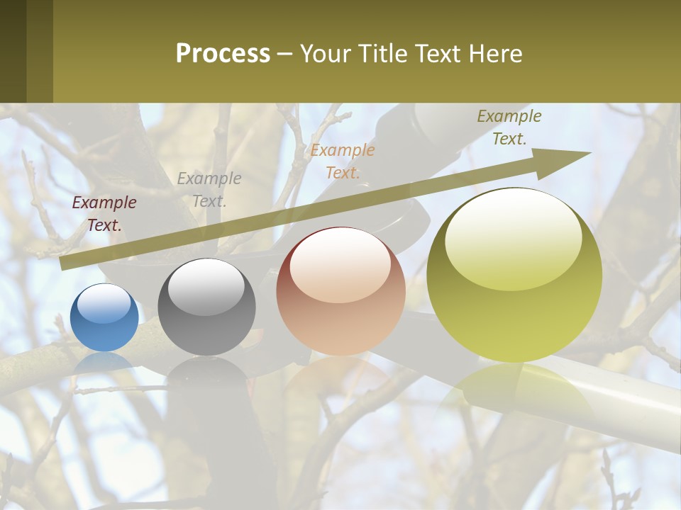 Wood Lopping Shear PowerPoint Template