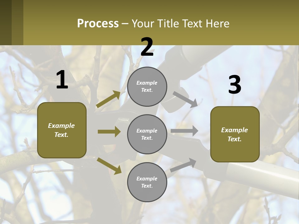 Wood Lopping Shear PowerPoint Template