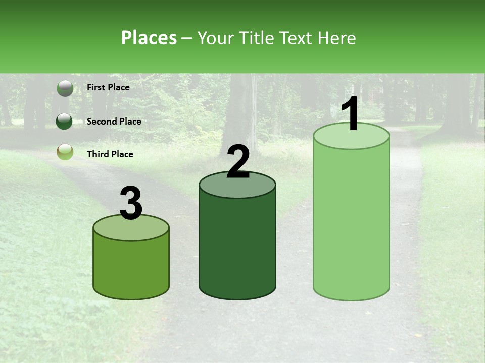 Road Choice Country PowerPoint Template