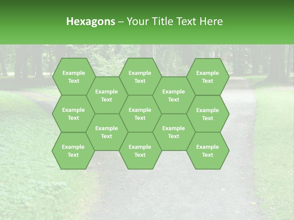 Road Choice Country PowerPoint Template