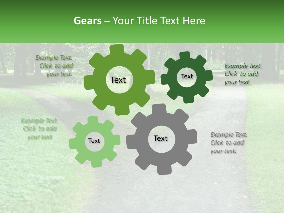 Road Choice Country PowerPoint Template