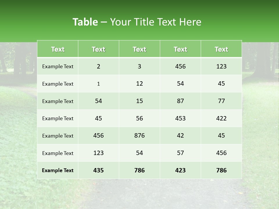Road Choice Country PowerPoint Template