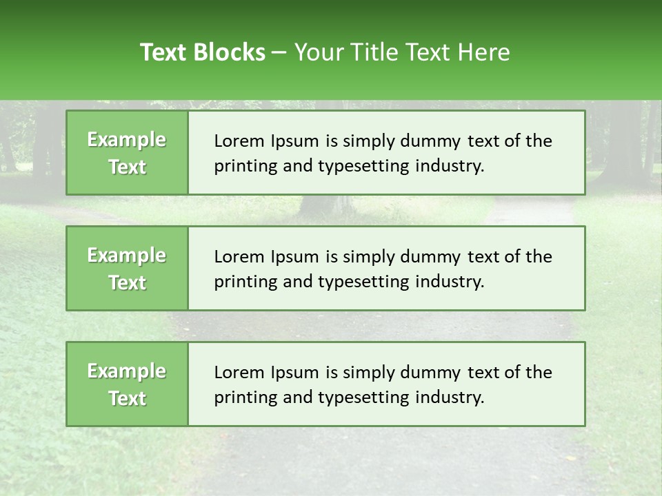 Road Choice Country PowerPoint Template