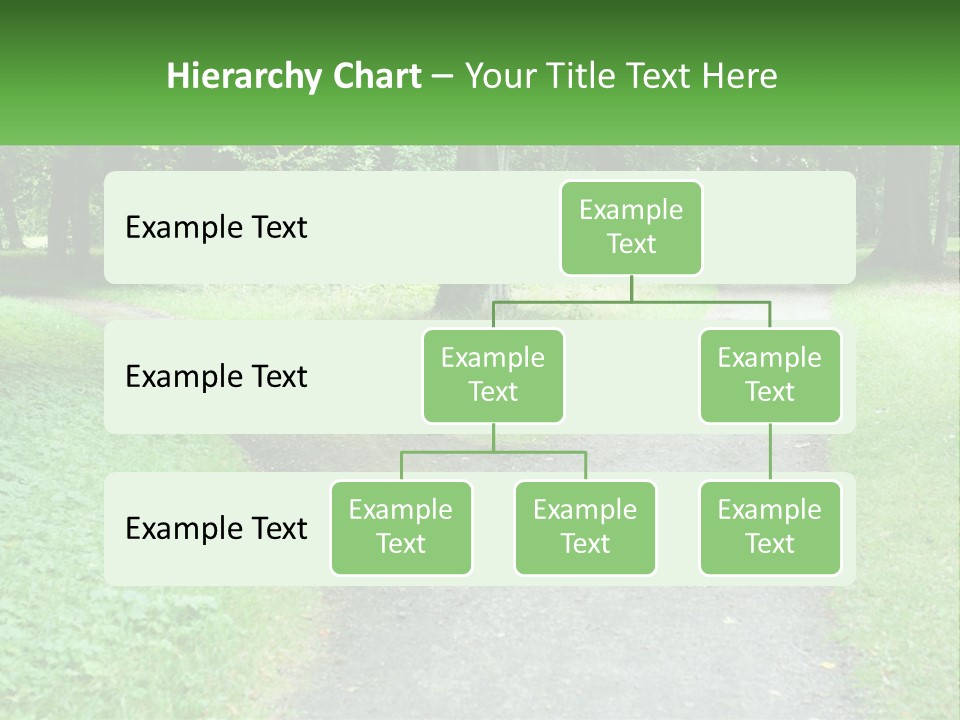 Road Choice Country PowerPoint Template