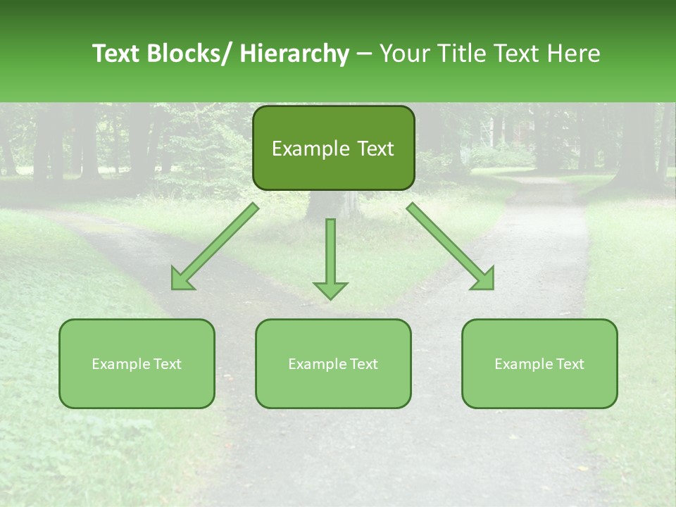 Road Choice Country PowerPoint Template