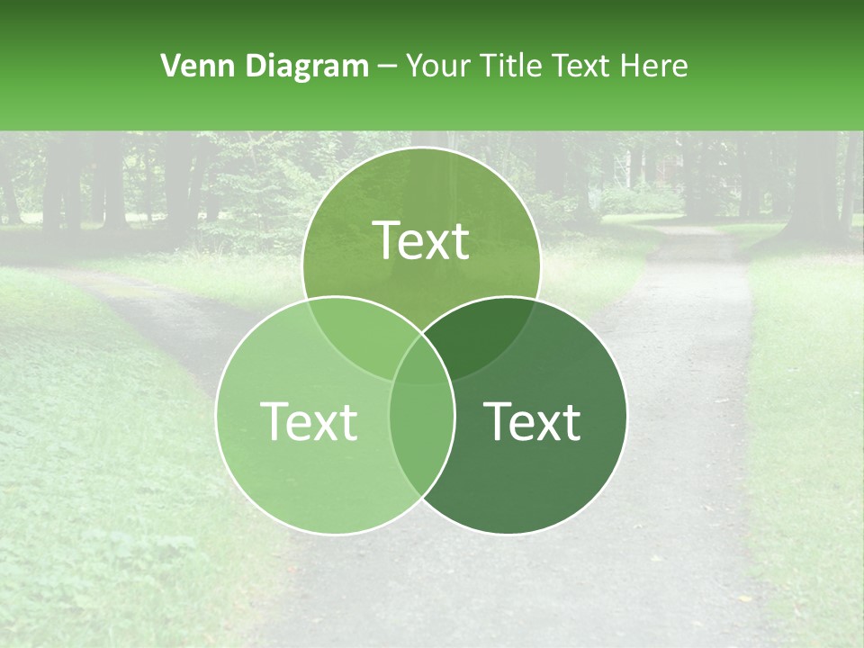 Road Choice Country PowerPoint Template