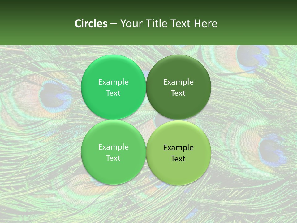 Pattern Turquoise Elegance PowerPoint Template