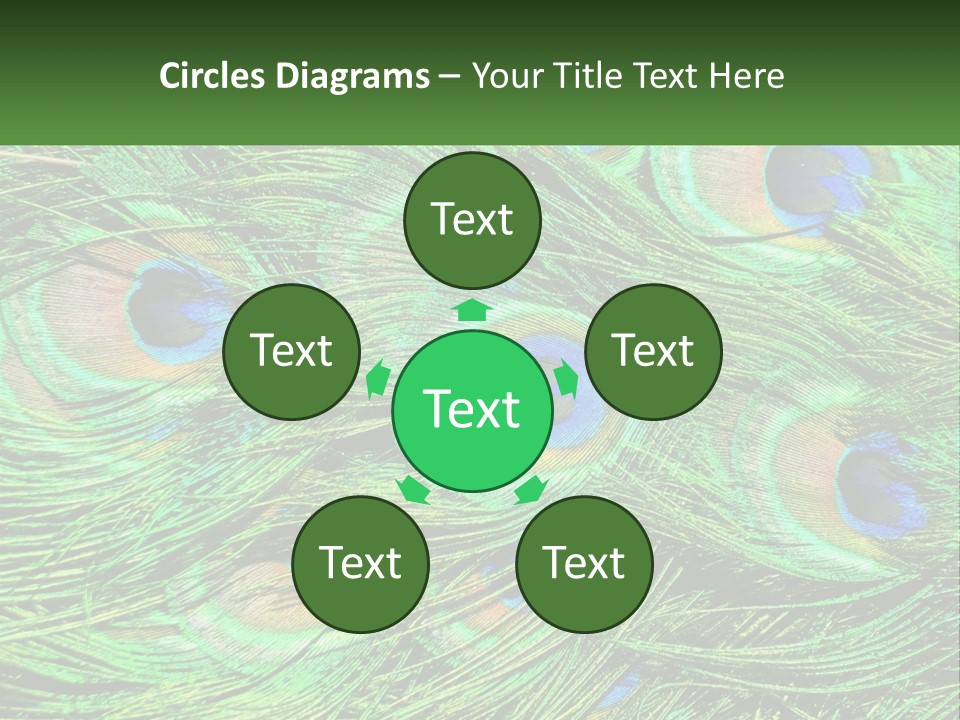 Pattern Turquoise Elegance PowerPoint Template