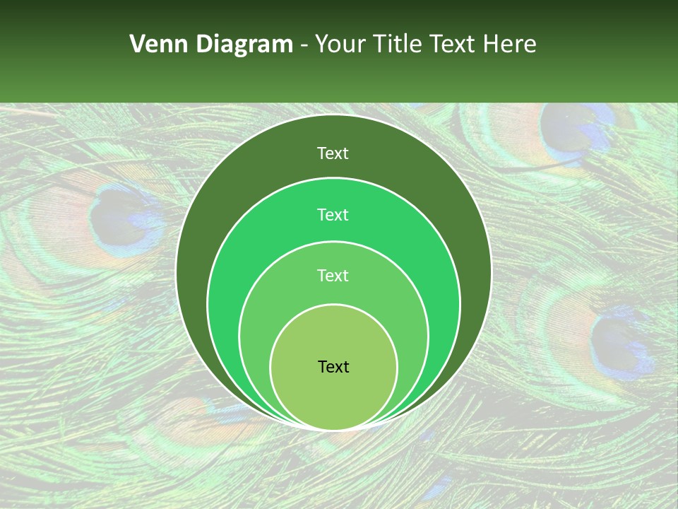 Pattern Turquoise Elegance PowerPoint Template