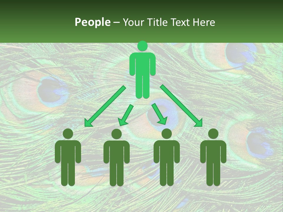 Pattern Turquoise Elegance PowerPoint Template