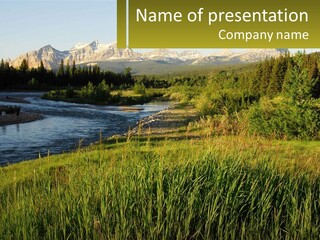 Scenic Summer Meadow PowerPoint Template