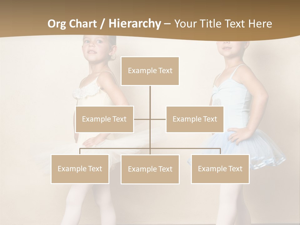 Netting Caucasian Ballerina PowerPoint Template