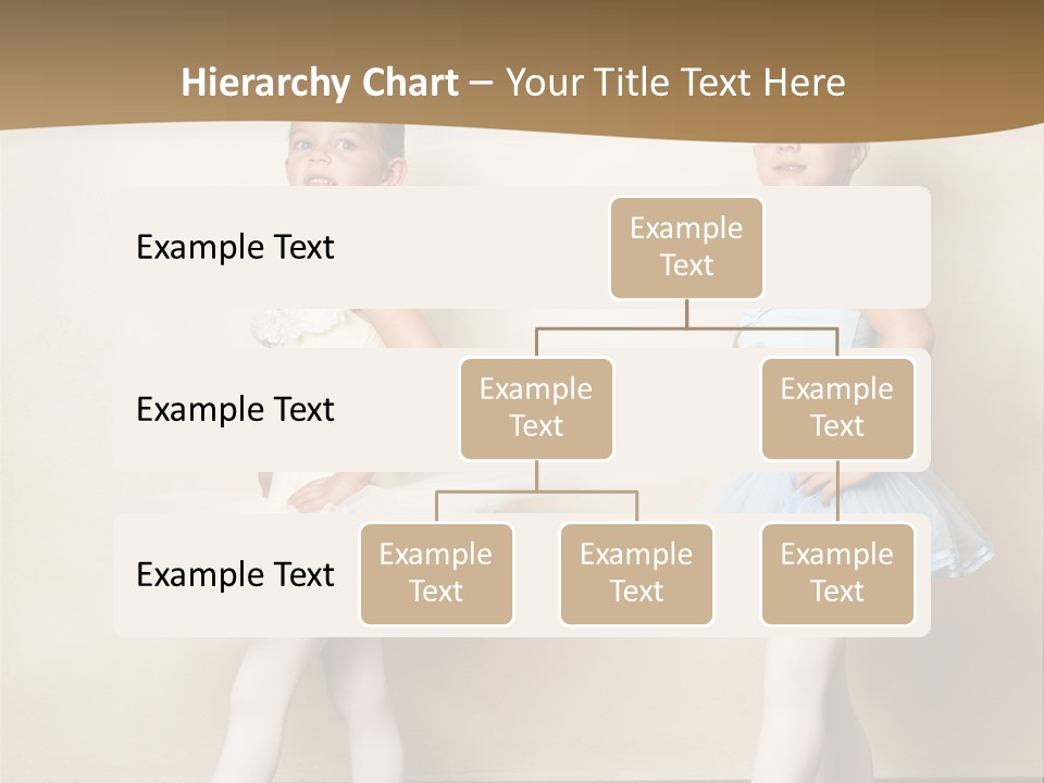 Netting Caucasian Ballerina PowerPoint Template