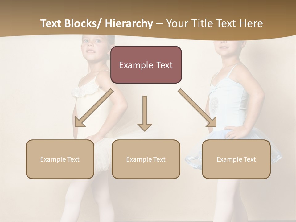 Netting Caucasian Ballerina PowerPoint Template