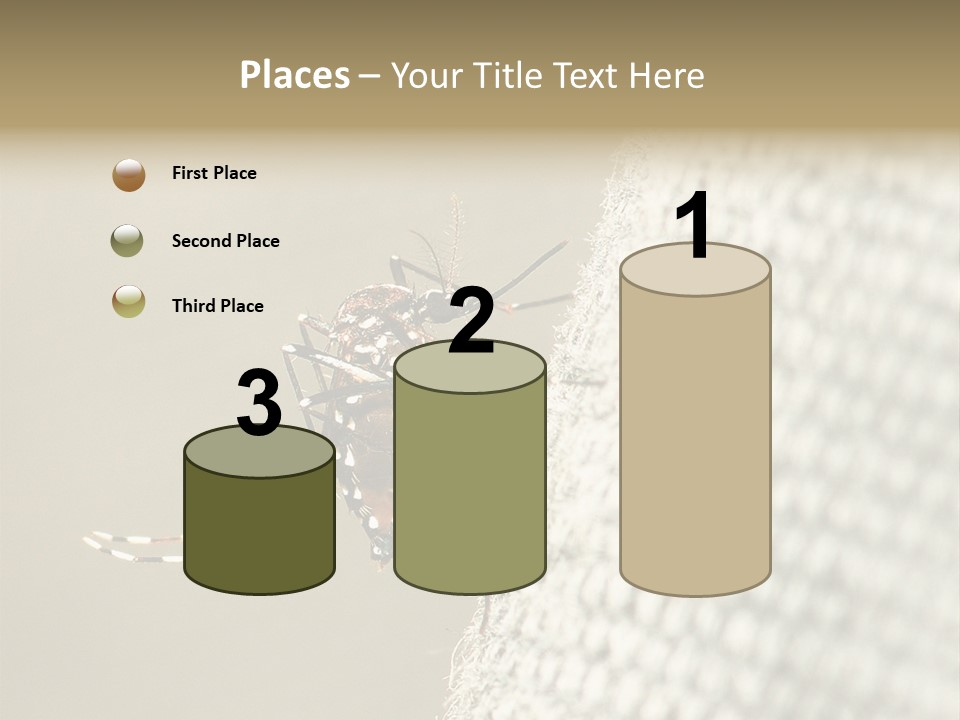 Albopictus Insect Biting PowerPoint Template