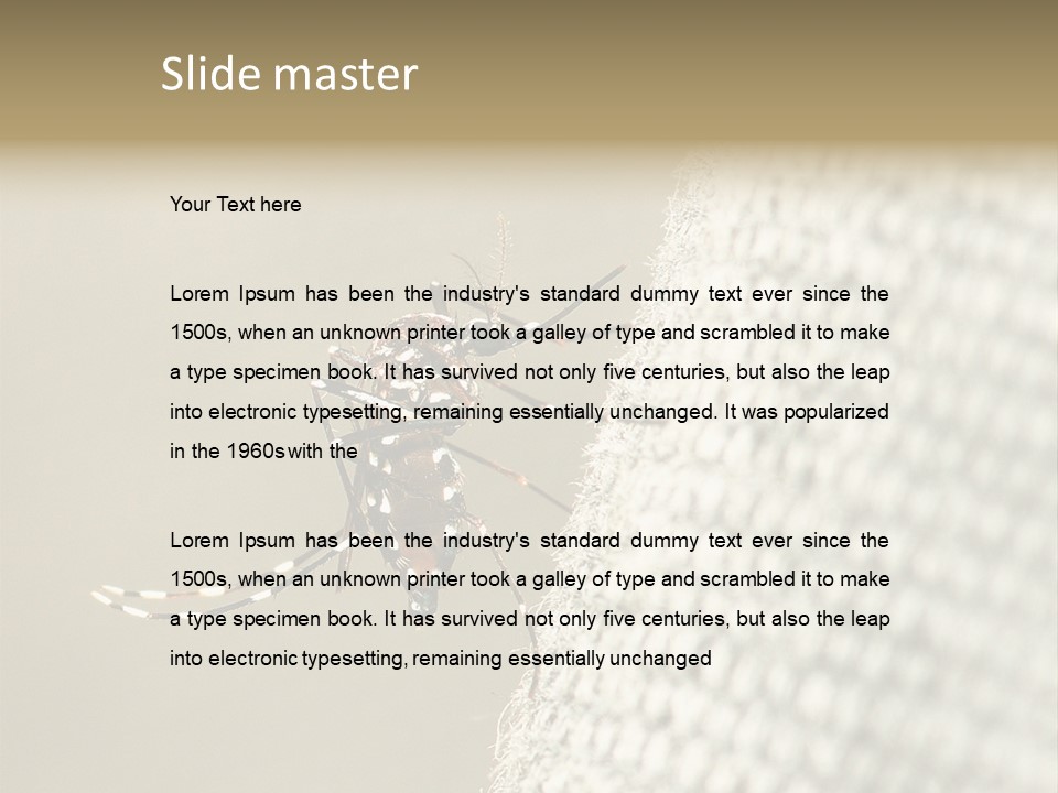 Albopictus Insect Biting PowerPoint Template