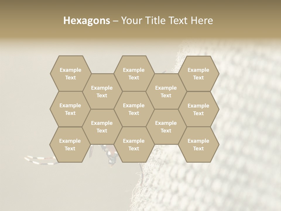 Albopictus Insect Biting PowerPoint Template