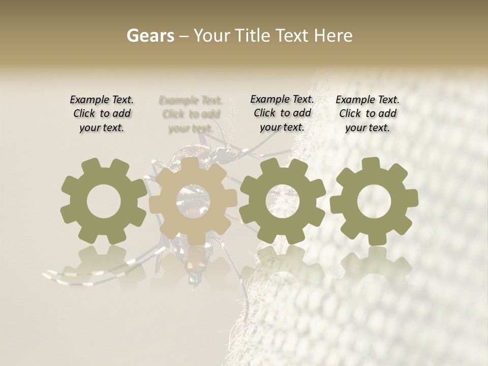 Albopictus Insect Biting PowerPoint Template