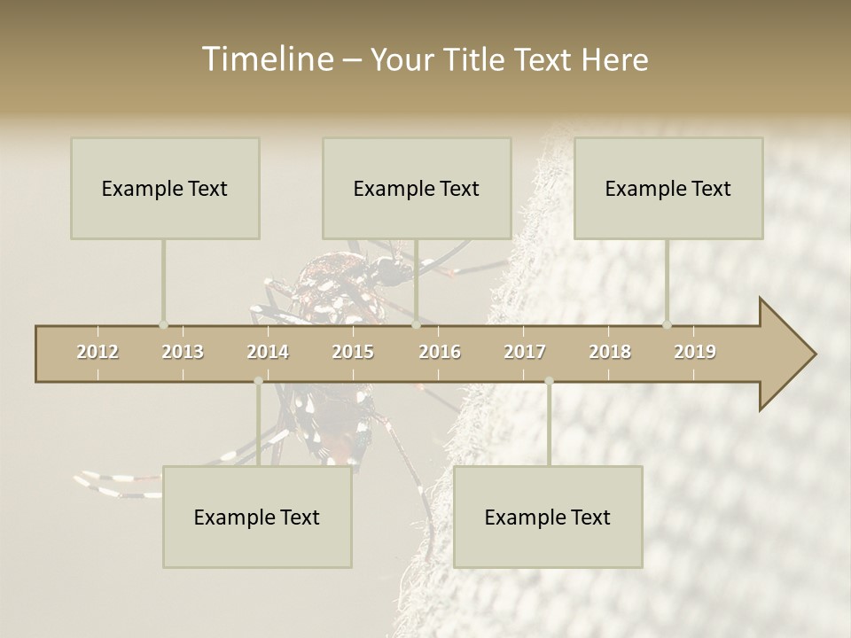 Albopictus Insect Biting PowerPoint Template