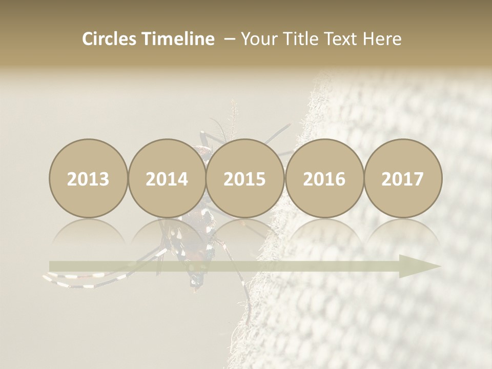 Albopictus Insect Biting PowerPoint Template