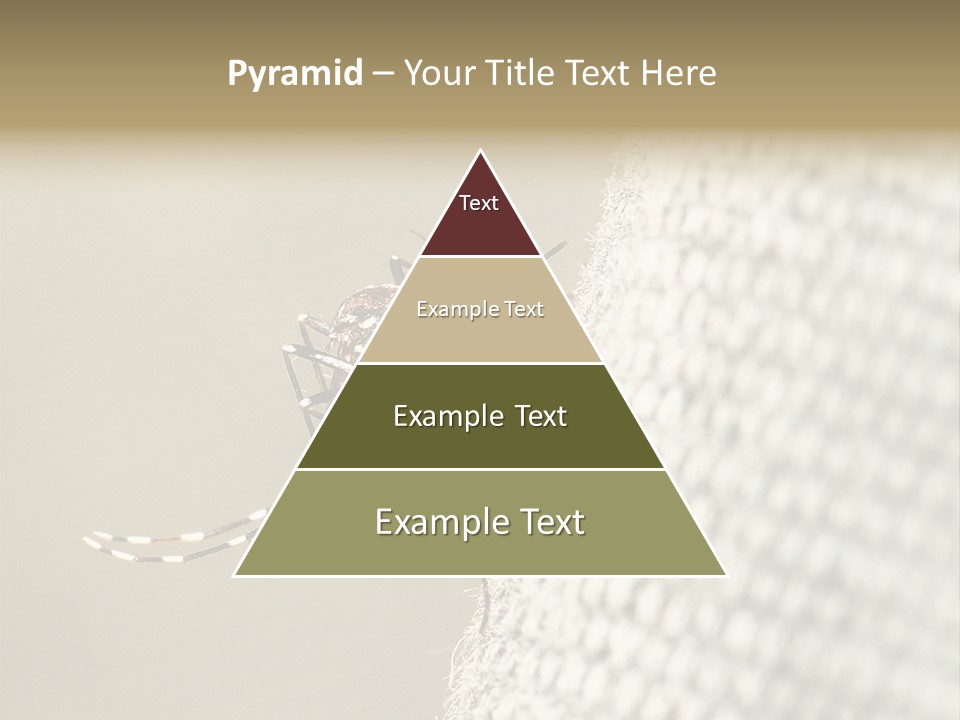 Albopictus Insect Biting PowerPoint Template