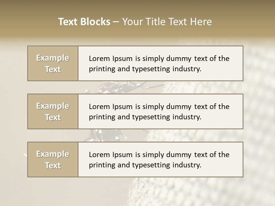 Albopictus Insect Biting PowerPoint Template