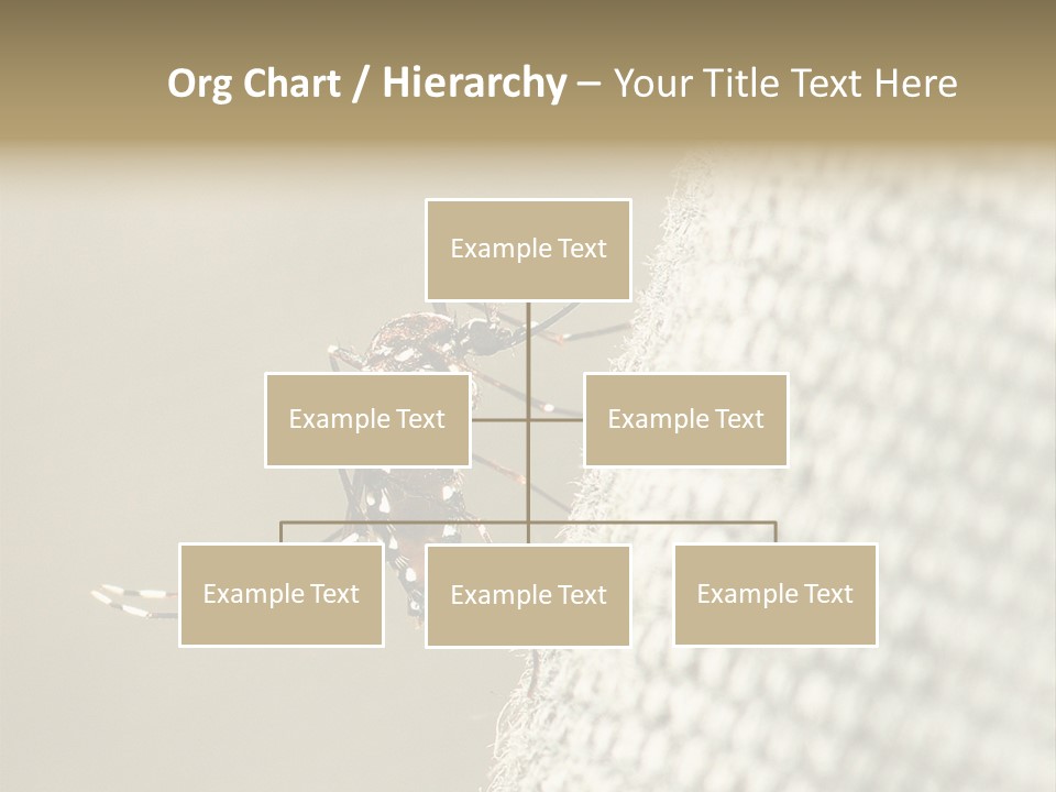 Albopictus Insect Biting PowerPoint Template