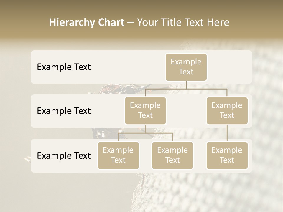 Albopictus Insect Biting PowerPoint Template