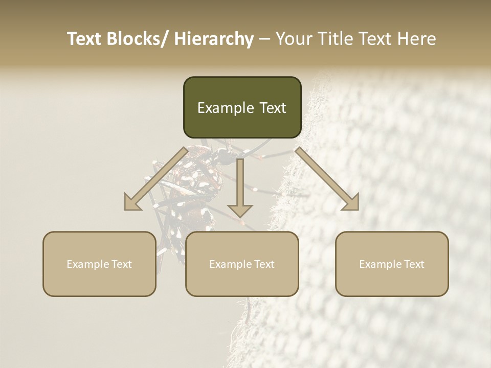 Albopictus Insect Biting PowerPoint Template
