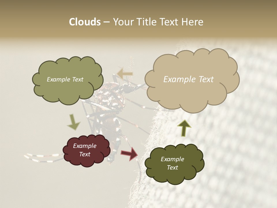 Albopictus Insect Biting PowerPoint Template