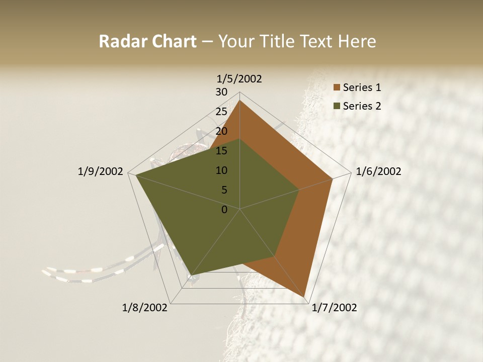 Albopictus Insect Biting PowerPoint Template