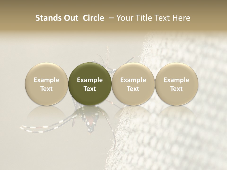 Albopictus Insect Biting PowerPoint Template