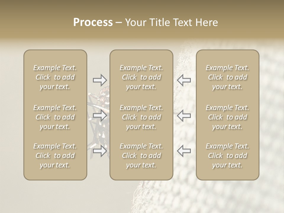 Albopictus Insect Biting PowerPoint Template