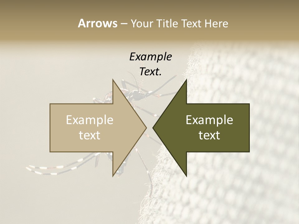 Albopictus Insect Biting PowerPoint Template