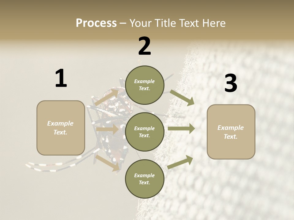 Albopictus Insect Biting PowerPoint Template