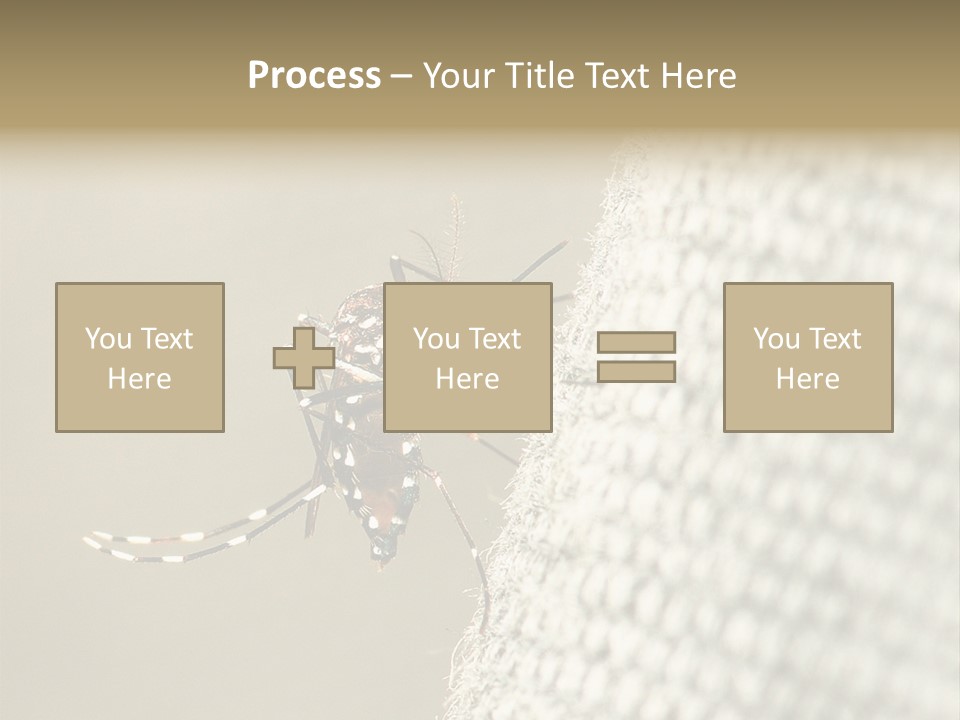 Albopictus Insect Biting PowerPoint Template