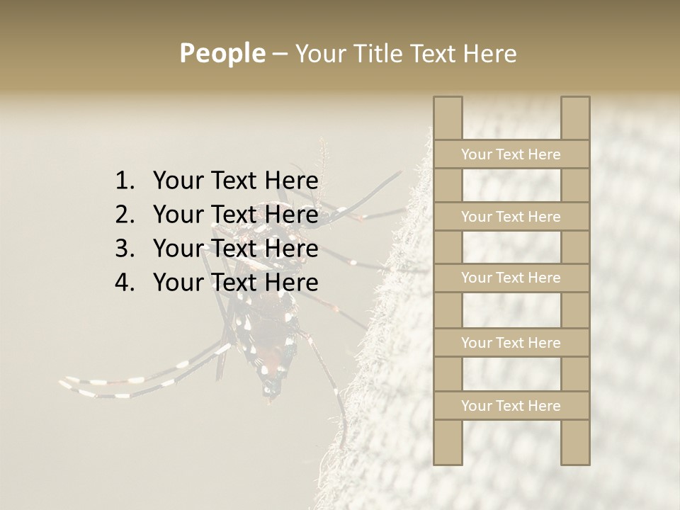 Albopictus Insect Biting PowerPoint Template