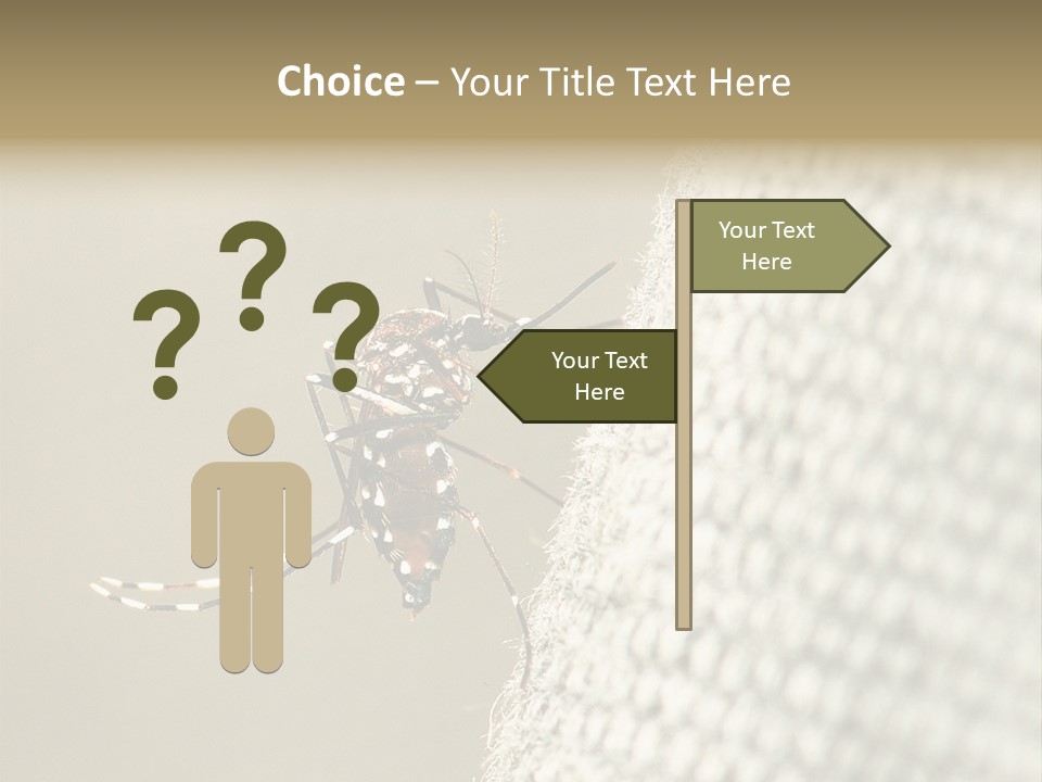 Albopictus Insect Biting PowerPoint Template