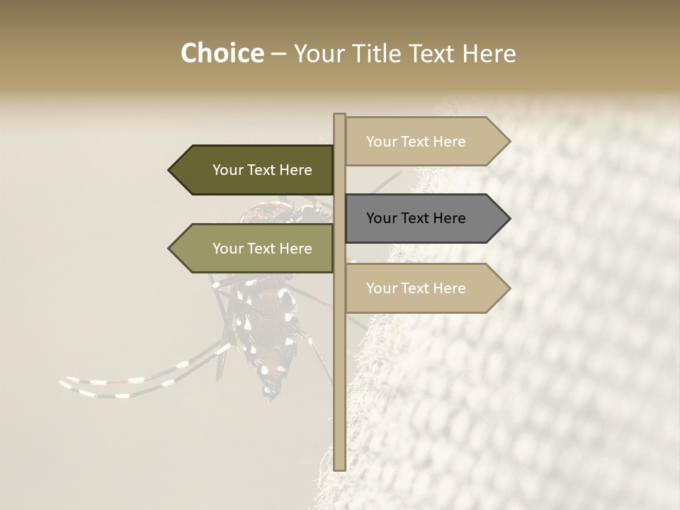 Albopictus Insect Biting PowerPoint Template