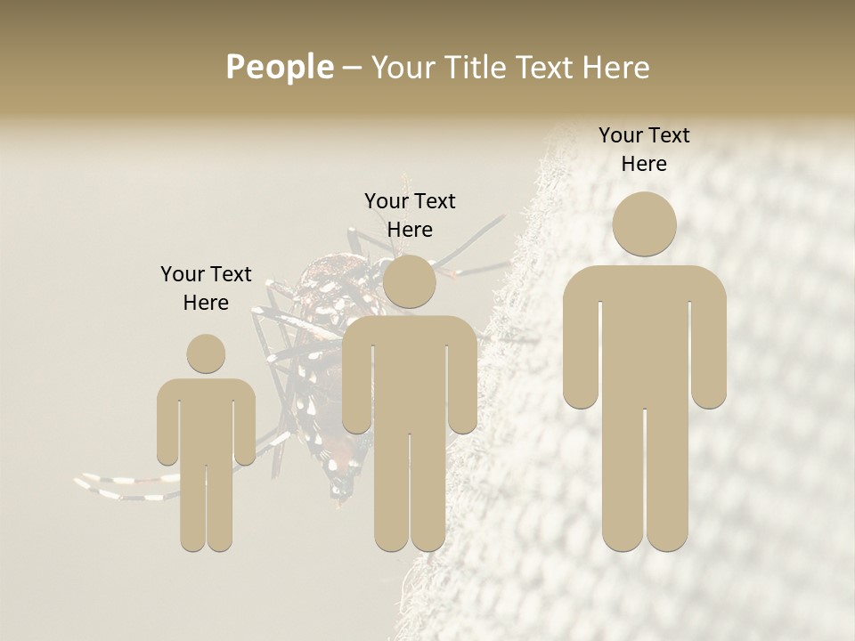 Albopictus Insect Biting PowerPoint Template