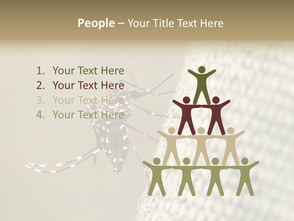 Albopictus Insect Biting PowerPoint Template