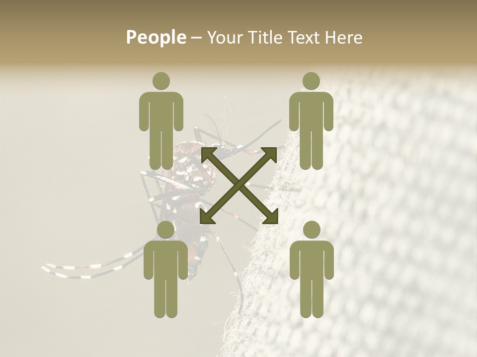 Albopictus Insect Biting PowerPoint Template