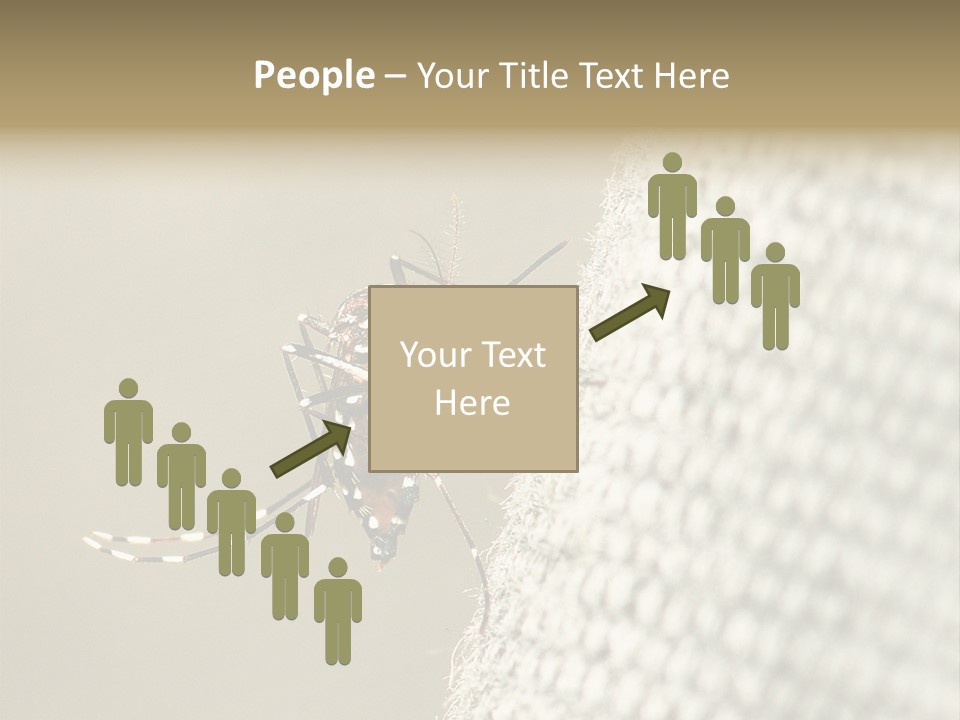 Albopictus Insect Biting PowerPoint Template